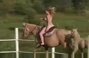 XXX -ビッチロール大きなペニス エロ 動画 無 修正 無理矢理