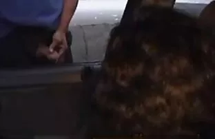 XXX 魅惑的な外観インドスタイル エロ 動画 無理矢理