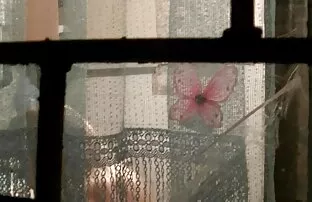 XXX 野生の乗り物のためのスインガー熟女 中出し 無理矢理