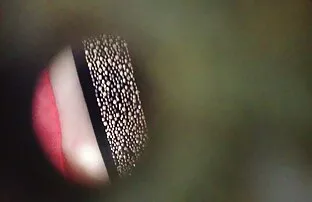 XXX イタリア素人ハード顔弄 女子 高生 無理矢理 中だし